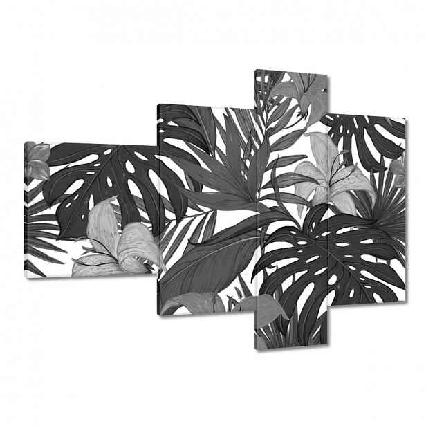 Obrazy 100x70 Černobílá monstera