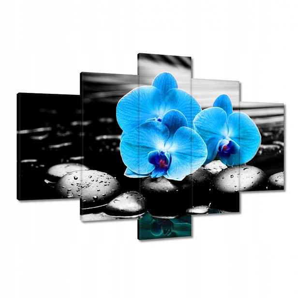 Obrazy 120x80 Tyrkysový orchidej Květina