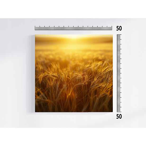 Obraz Na Plátně Plátno Krajina Zemědělství Vesnice Pole Obilí Klasy Žní 50x50