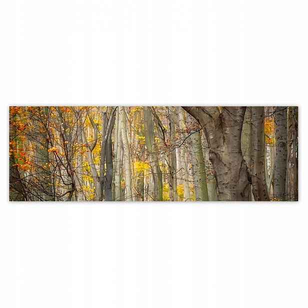 Plakáty 200x66 Krajina Pohled