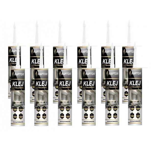 12 x Lepidlo na zrcadla a lacobel Bezbarvé silikonové Raptor 290 ml