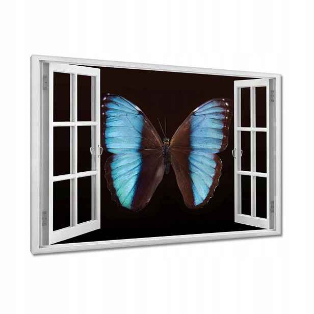 Obrazy 90x60 Modrý motýl