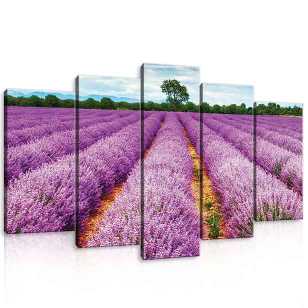 Obraz 100x60 Levandulové pole Provence krajina příroda květiny fialová