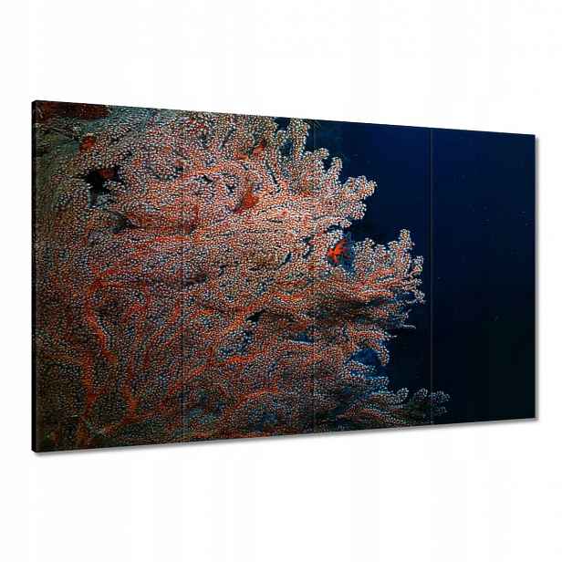 Obrazy 120x80 Modrý oceán s útesem