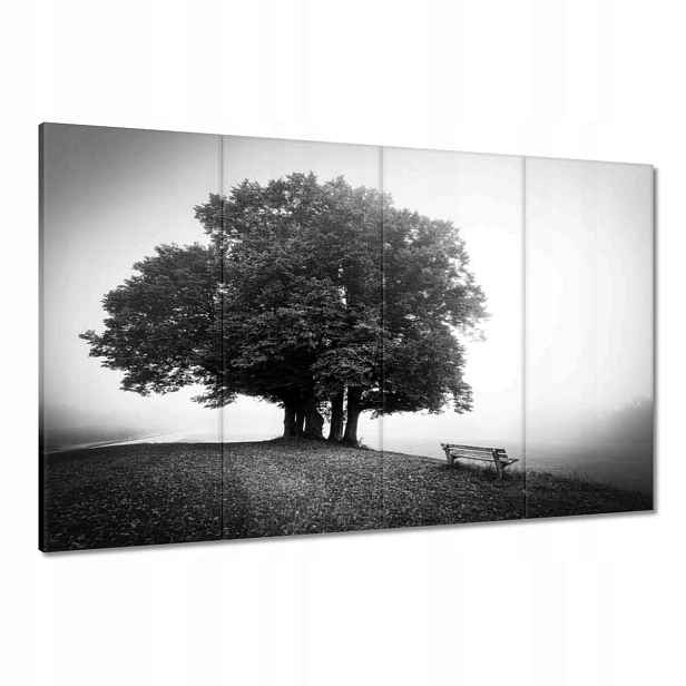 Obrazy 120x80 Krajina v šedé barvě