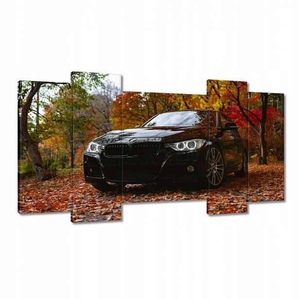 Obrazy 120x65 Černé Bmw Podzim