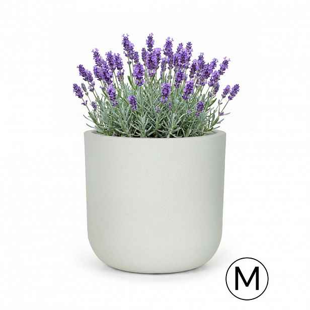 Mazovia KVĚTINÁČ bílý Ecru ELEGANTE M 36x36x35 cm