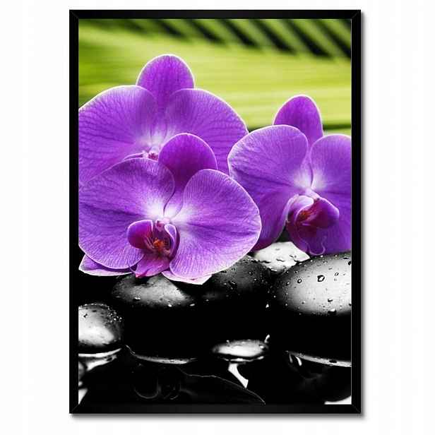 Plakáty v rámu 50x70 Fialové orchideje
