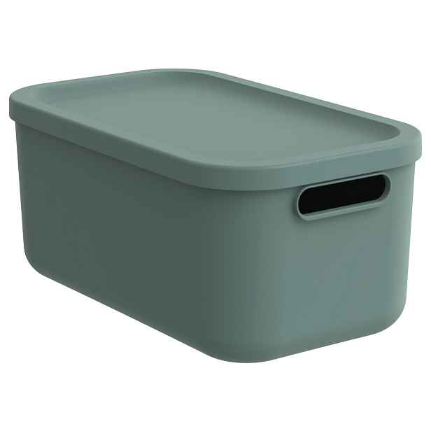 Rotho Úložný box, rovný s víkem, 12l, matně zelený ALBU LIGHT , 40x24x18