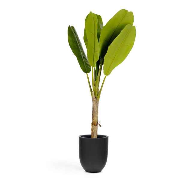 Umělá palma (výška 160 cm) Baa – Kave Home