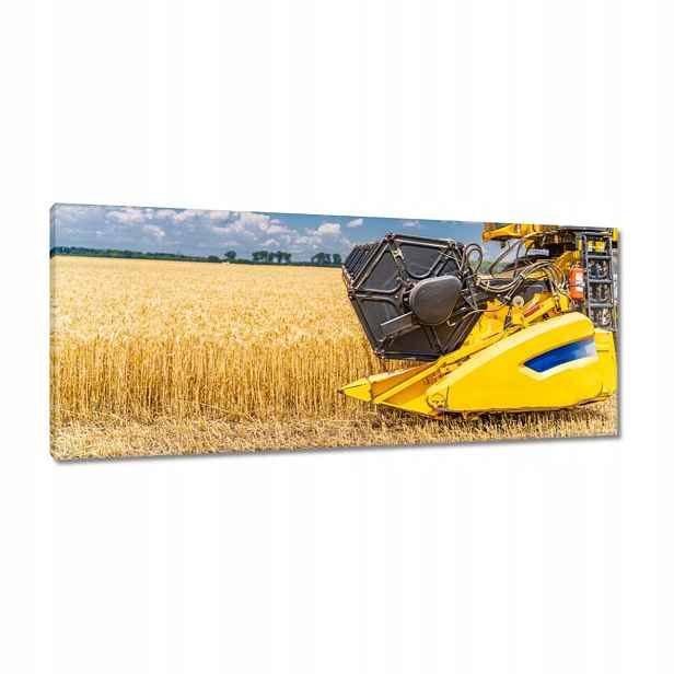 Obrazy 100x40 Sbírka zralých plodin