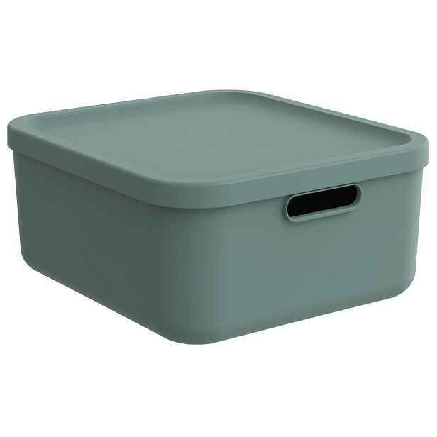 Rotho Úložný box, rovný s víkem, 20l, matně zelená ALBU LIGHT, 40x36x18