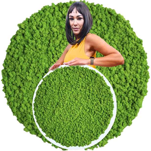 Obraz v dřevěném kulatém bílém rámu S Mechem Chrobotkem, průměr 50 cm