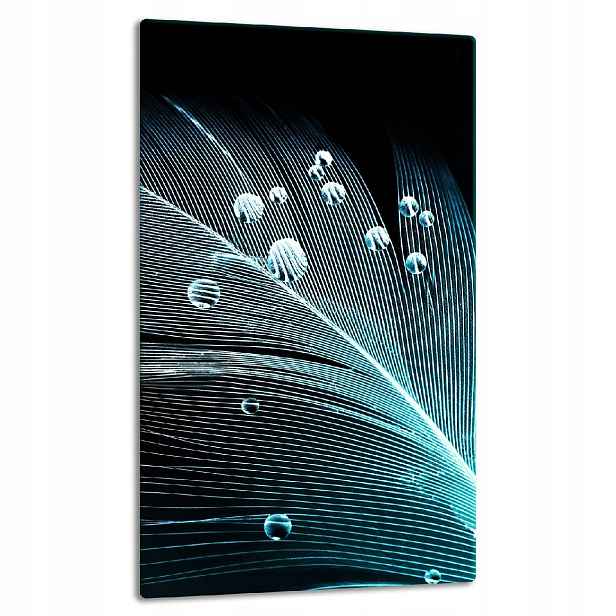 7v1 Skleněná Deska Panel Deska 30x52 Pero