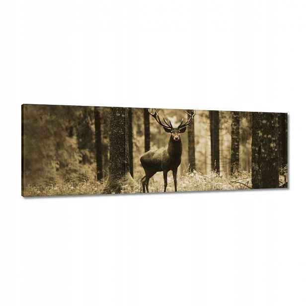 Obrazy 120x40 Jelen v lese Sepia