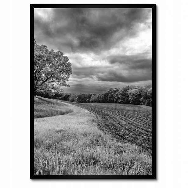 Plakáty v rámu 50x70 Černobílé pole