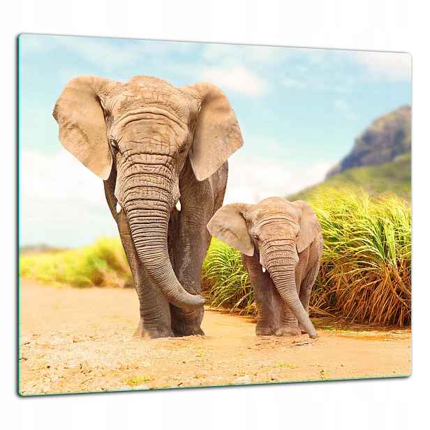 7v1 Skleněná Ochranná Deska Panel Lepidlo 65x60 Slon