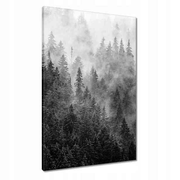 Obrazy 60x90 Krajina Šedá Hory Mlha