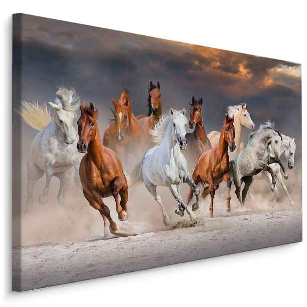 MyBestHome BOX Plátno Koně V Poušti Varianta: 100x70