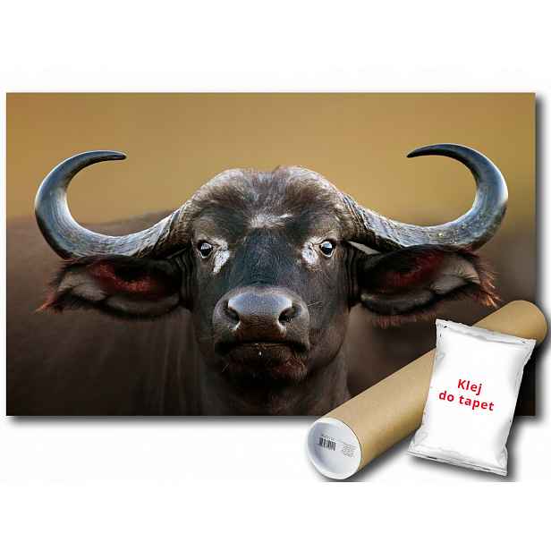 Fototapeta Bawół 12C F2XL 312x219 F3618