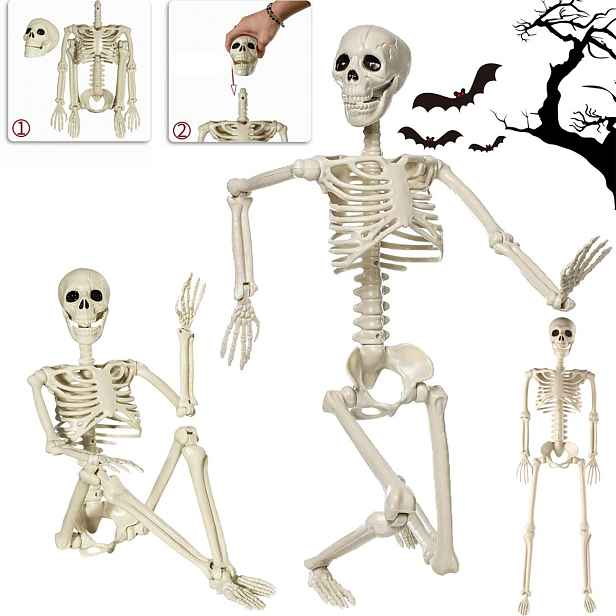 Kostra na Halloweenskou párty 94 cm s pohyblivou čelistí Bílá Domů