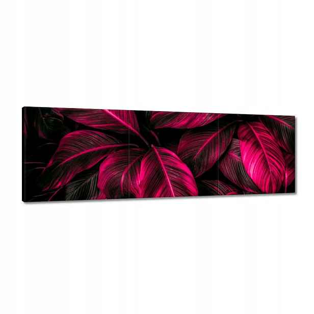 Obrazy 120x40 Růžové listy