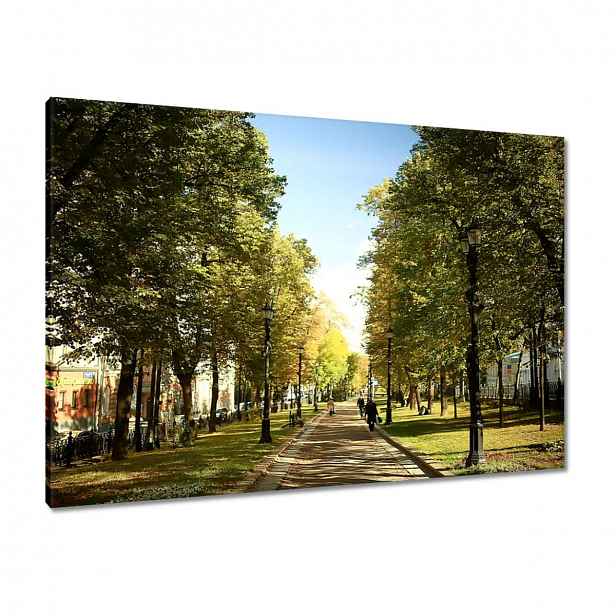 Obrazy 100x70 Park v letním období