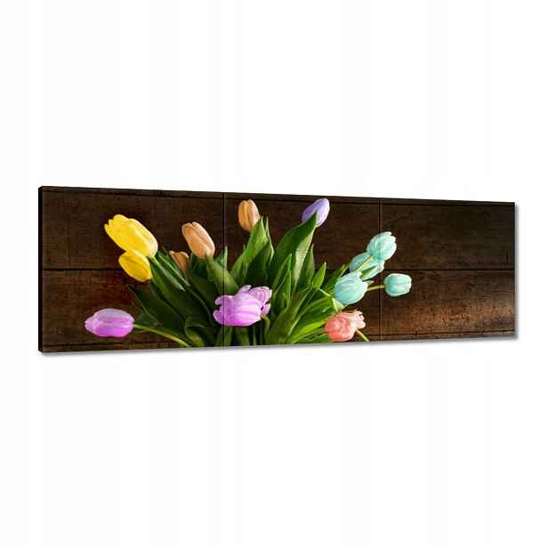 Obrazy 120x40 Kytice Barevné tulipány