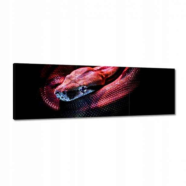 Obrazy 120x40 Zvířata Zvířátka