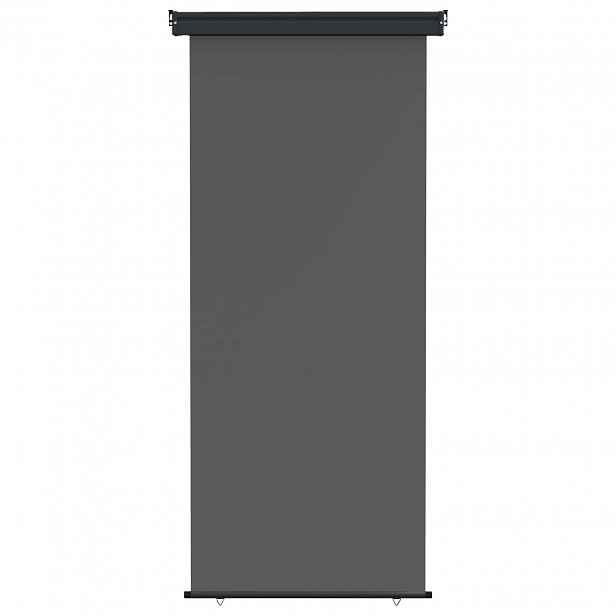 vidaXL Postranní markýza na balkon 80 x 250 cm