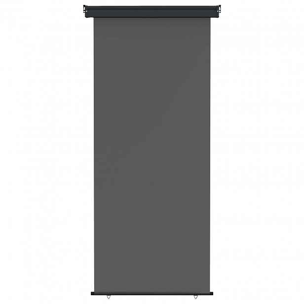vidaXL Postranní markýza na balkon 100 x 250 cm