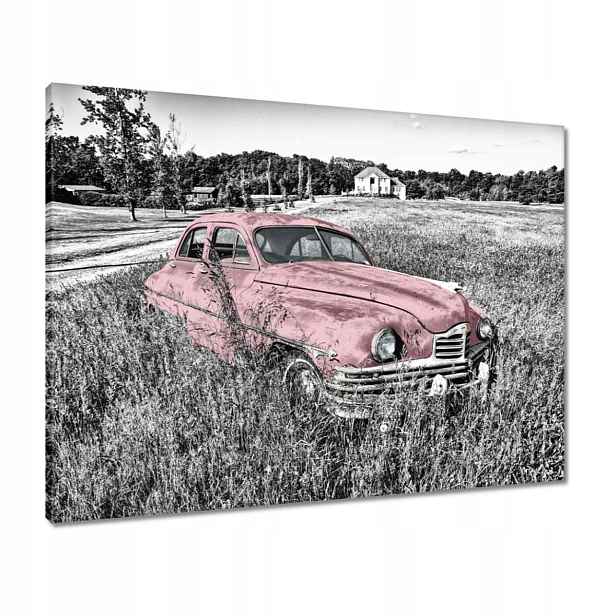 Obrazy 80x60 Růžová babička Historická
