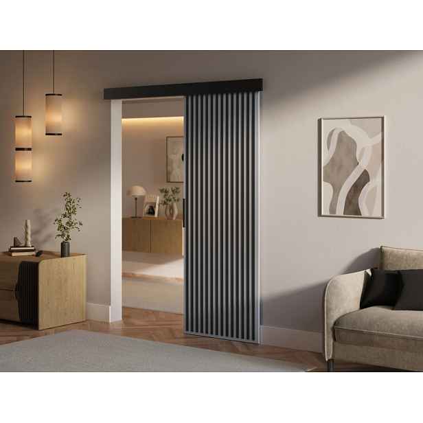 ArtAdrk Posuvné dveře PERION | 76 cm Barva: Šedá