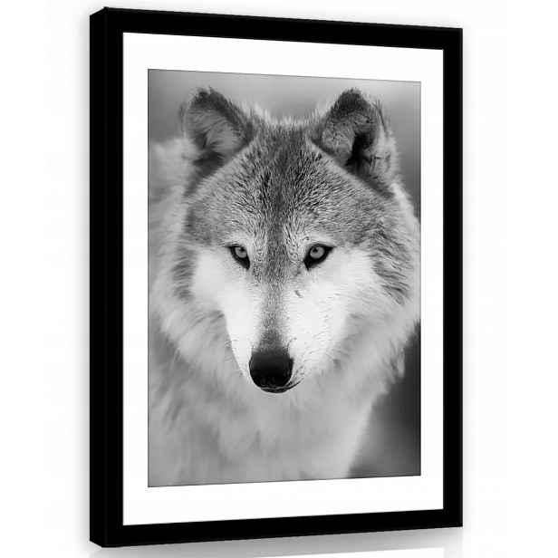 Obraz Na Plátně Canvas 60x80 Vlk Portrét B&w