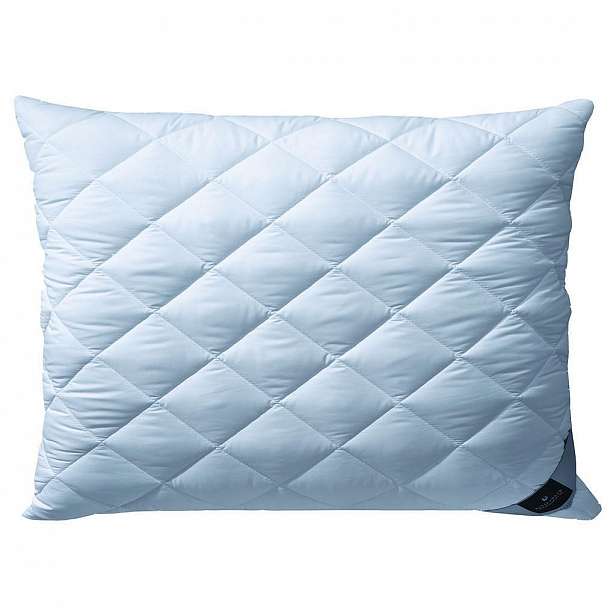 Billerbeck Polštář, 40/80 Cm - Polštáře pod hlavu - 003279065002