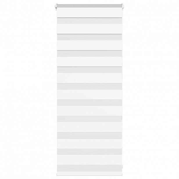 vidaXL Zebra roleta bílá 55x100 cm šířka látky 50,9 cm polyester