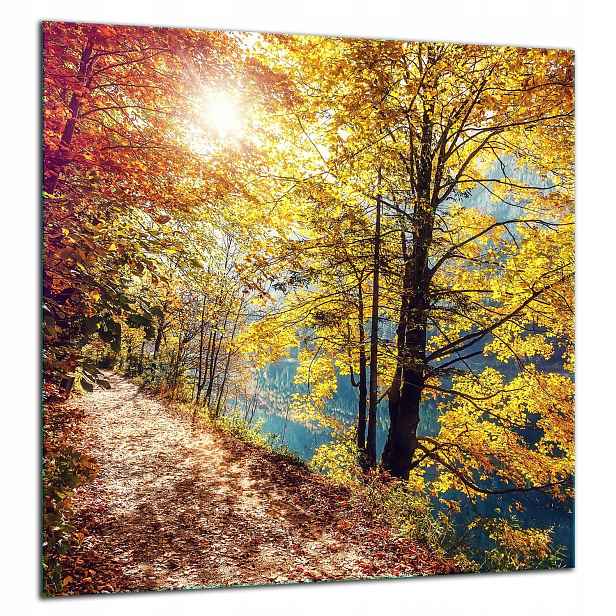 7v1 Skleněná Ochranná Deska Panel Lepidlo 60x65 Krajina