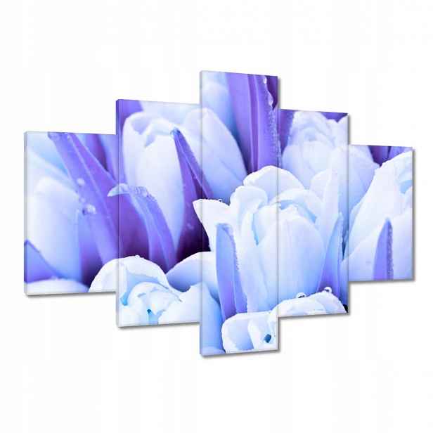 Obrazy 150x105 Modré tulipány