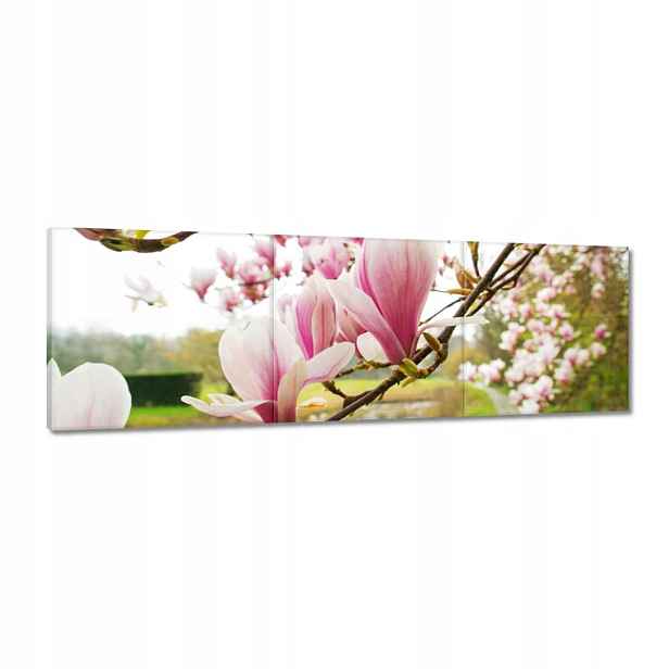 Obrazy 120x40 Magnolie v Poznani Květ
