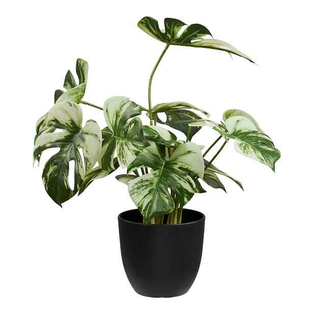 Umělá květina (výška 41 cm) Monstera – House Nordic