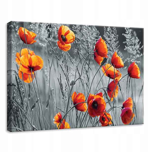 Obraz 70x50 Maki červený oranžový květy pole léto příroda krása