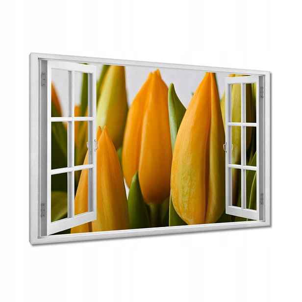 Obrazy 120x80 Žluté tulipány