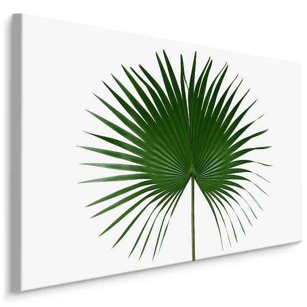 MyBestHome BOX Plátno Zelený List Na Bílém Pozadí Varianta: 30x20