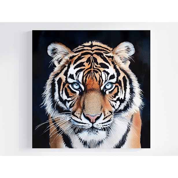 Obraz Na Plátně Canvas Příroda Fauna Afrika Zvíře Tygr Portrét 50x50