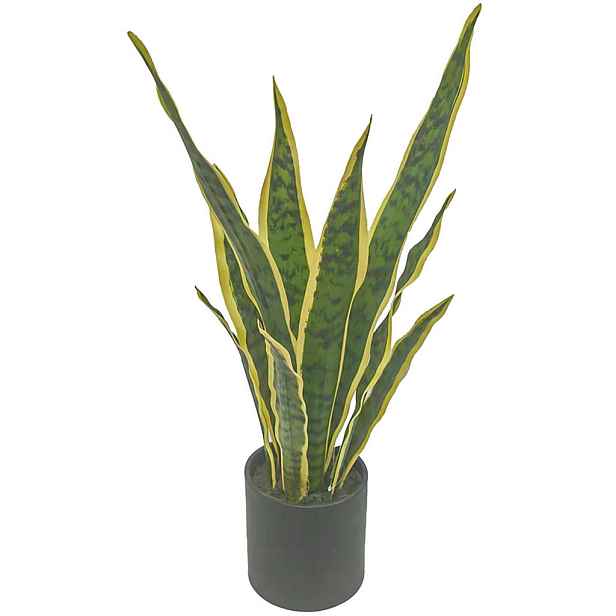 Ambia Home UMĚLÁ ROSTLINA tchýnin jazyk 54 cm