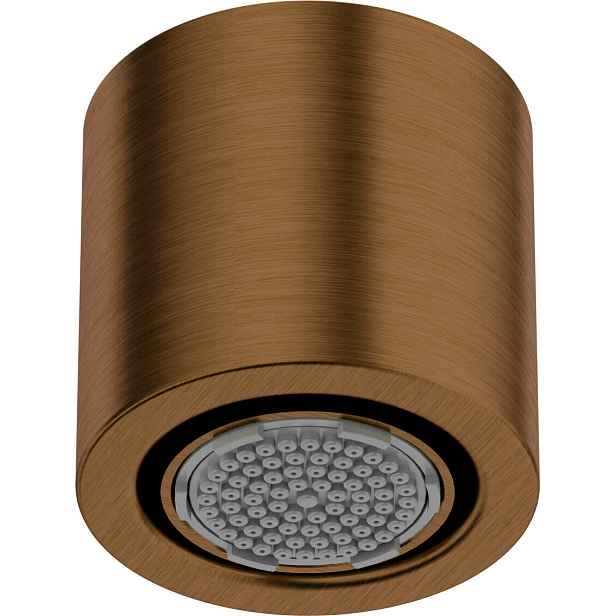 Dešťová sprcha 1-funkční mosaz Anti-Calc 42 mm