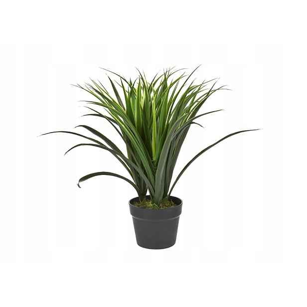 Pokojová rostlina Tráva 50 cm (umělá)