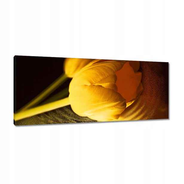 Obrazy 100x40 Žluto-zlatý tulipán