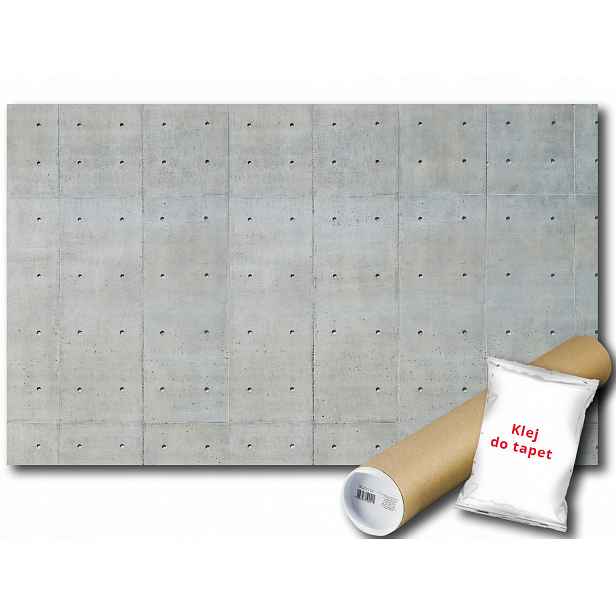 Fototapeta Beton Ściana 6D V8 368x254 F1657