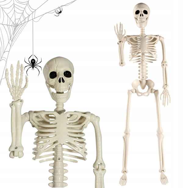 Kostra Člověka Dekorace 94 CM Dekorace Halloween Kostlivec Umělá